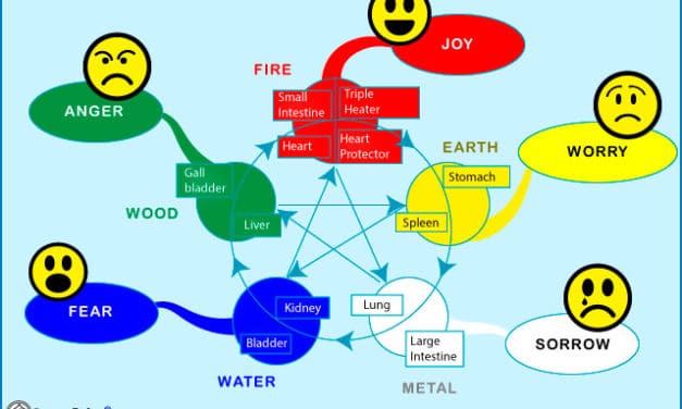 The 5 elements and emotions