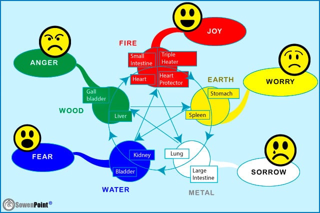 The 5 elements and emotions
