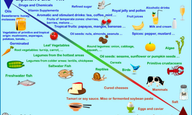 Classification of foods according to Eastern philosophy