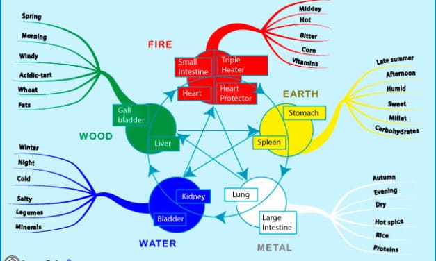 The five elements of food.